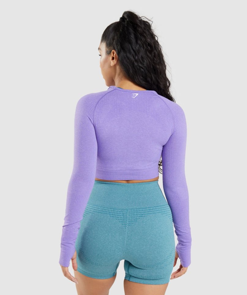 Przycięte Topy Gymshark Vital Seamless 2.0 Long Sleeve Damskie Lawenda | PL 296RLH